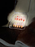 Bumble Bee And Lady Bug Nails